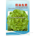Organic butterhead lettuce seed for planting